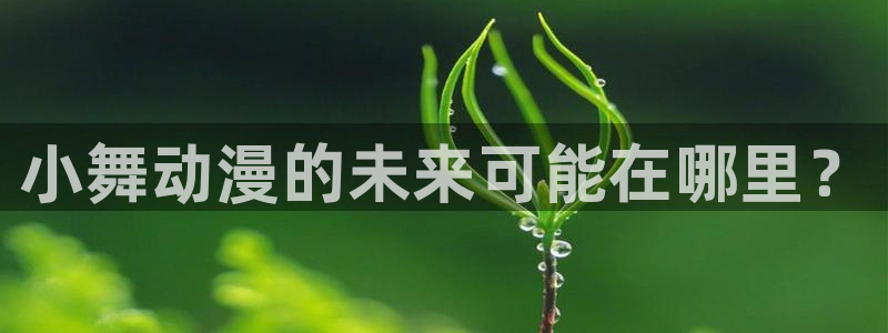 小小的动漫屋：小舞动漫的未来可能在哪里？